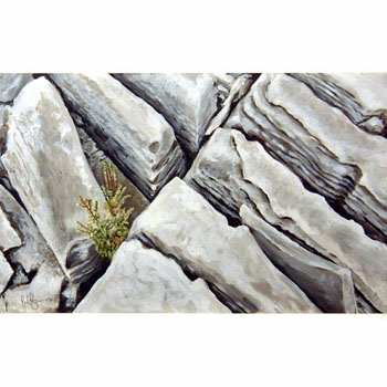 Stonescape 6 50cm x 50cm